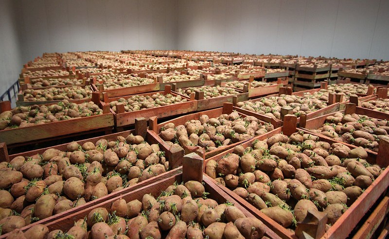 казахстан сможет торговать с еаэс сельхозпродукцией по упрощенной схеме 