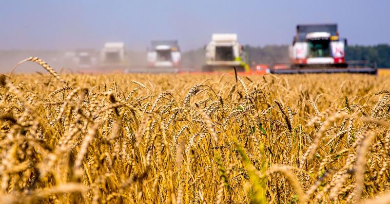 как в казахстане получить компенсацию за погибших во время паводка животных 2024 (куда обращаться)