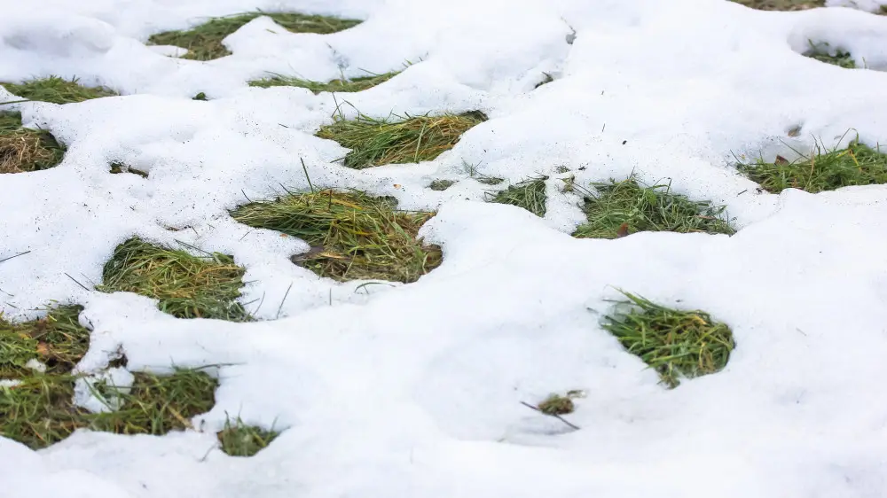 резкое похолодание, гололед и штормовой ветер придут в казахстан: погода в пятницу, 11 октября 2024