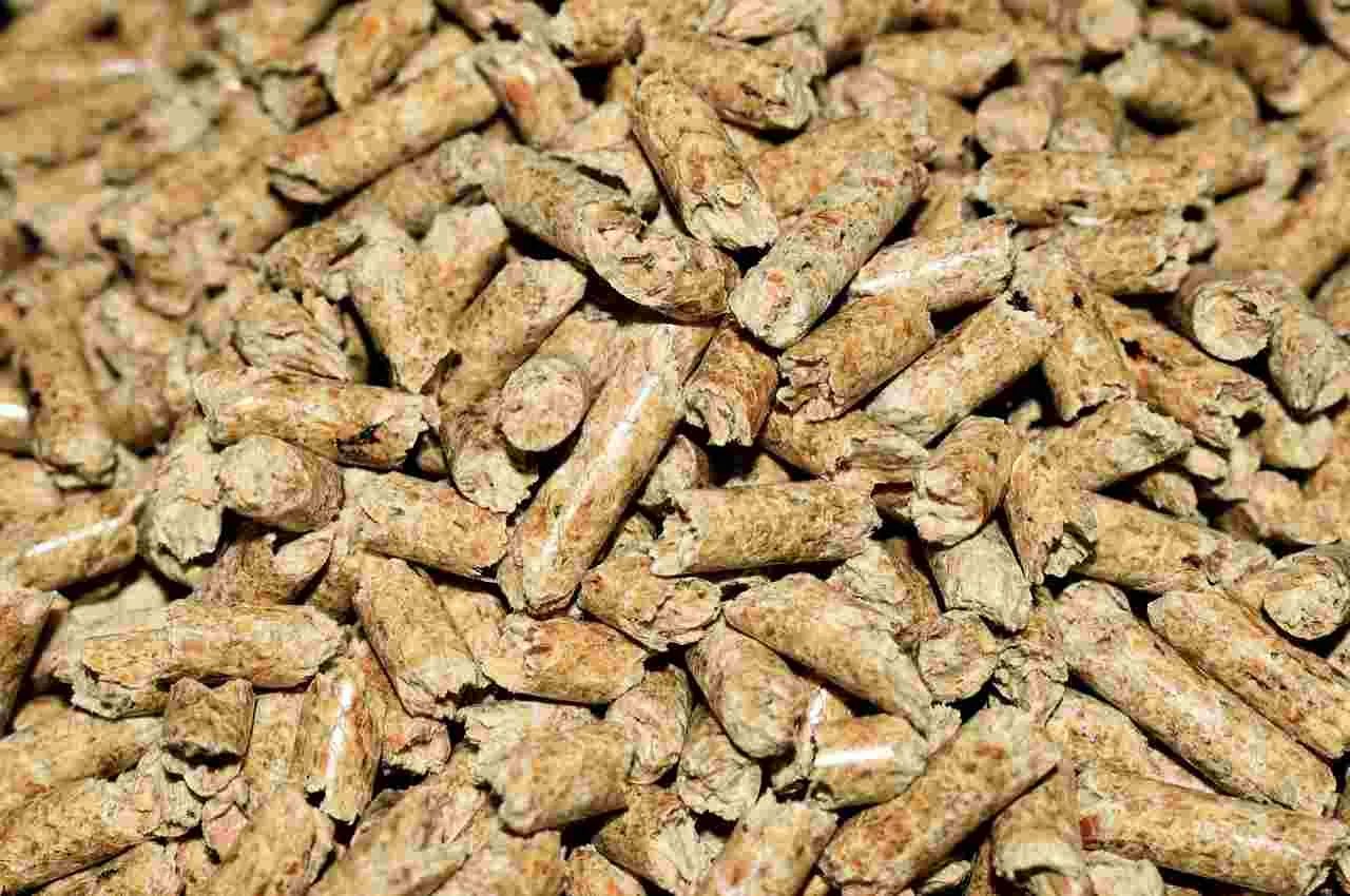 узбекистан возглавил список стран, закупающих российский соевый шрот