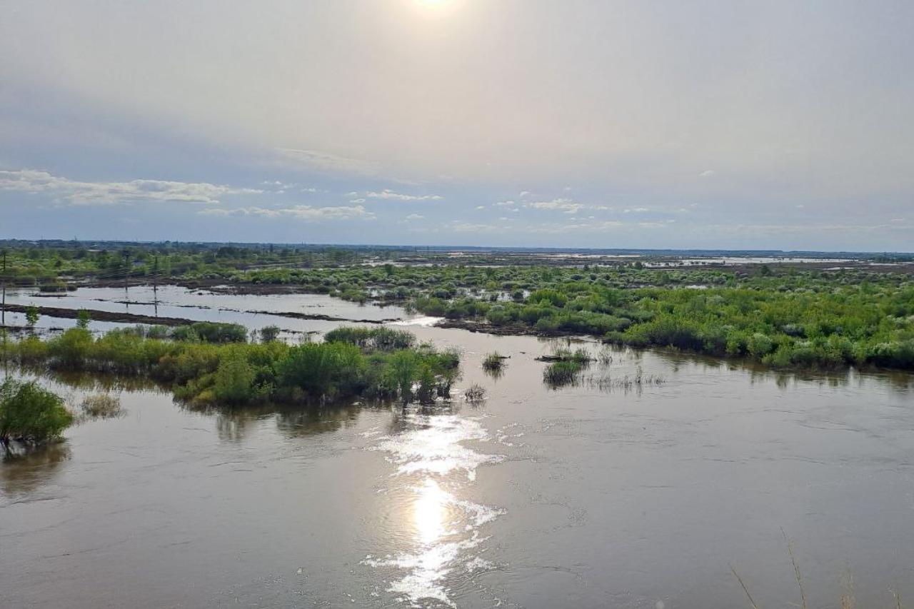 комфортная весенняя погода придет в казахстан в четверг, 15 мая 2025