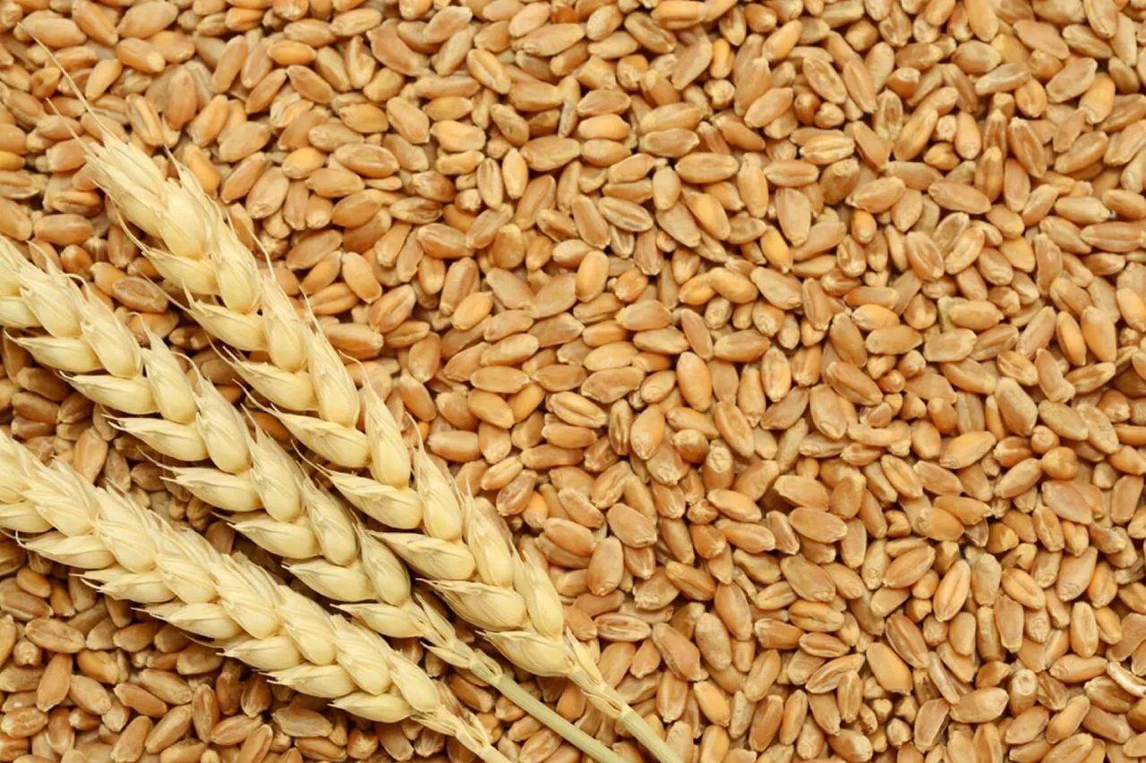 названы основные экспортные продукты казахстана