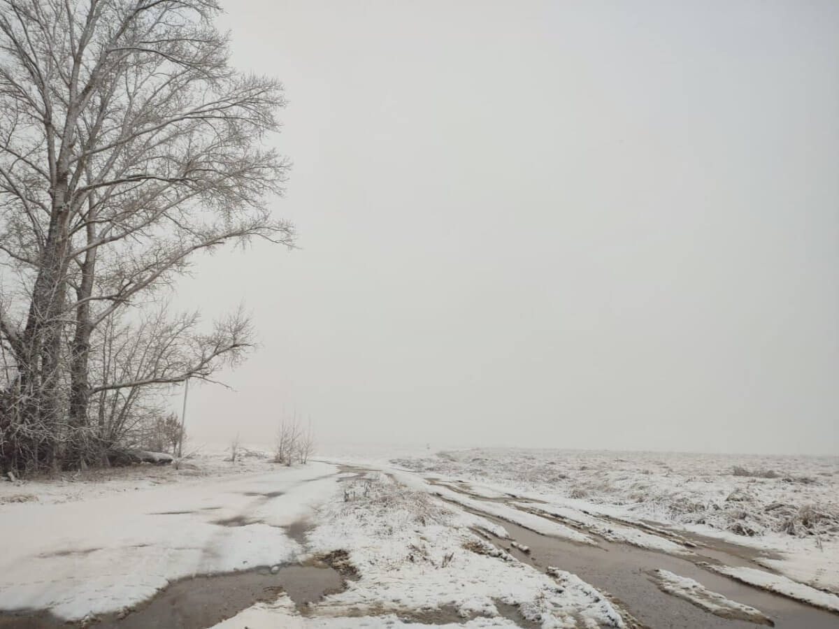 дождь, снег, гололед и туман ожидаются в казахстане: погода в среду, 30 октября 2024