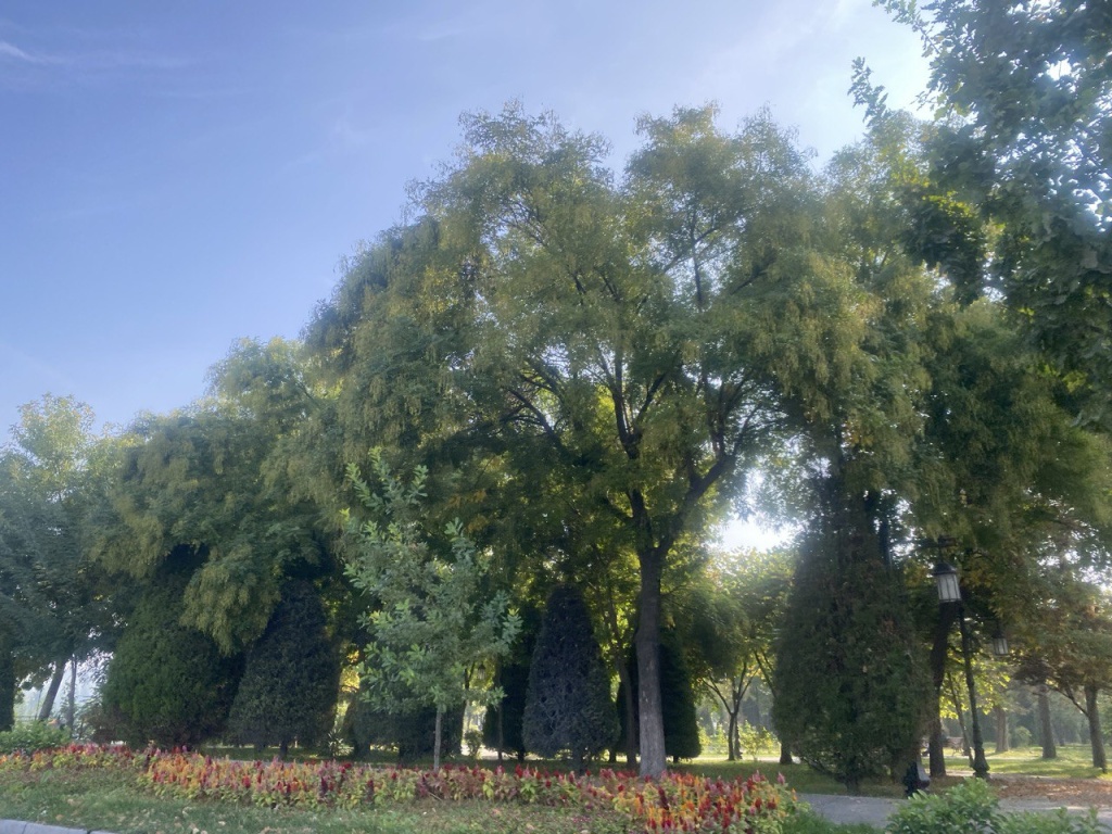 в узбекистане похолодает, в горах кыргызстана пройдут дожди: погода во вторник, 8 октября 2024