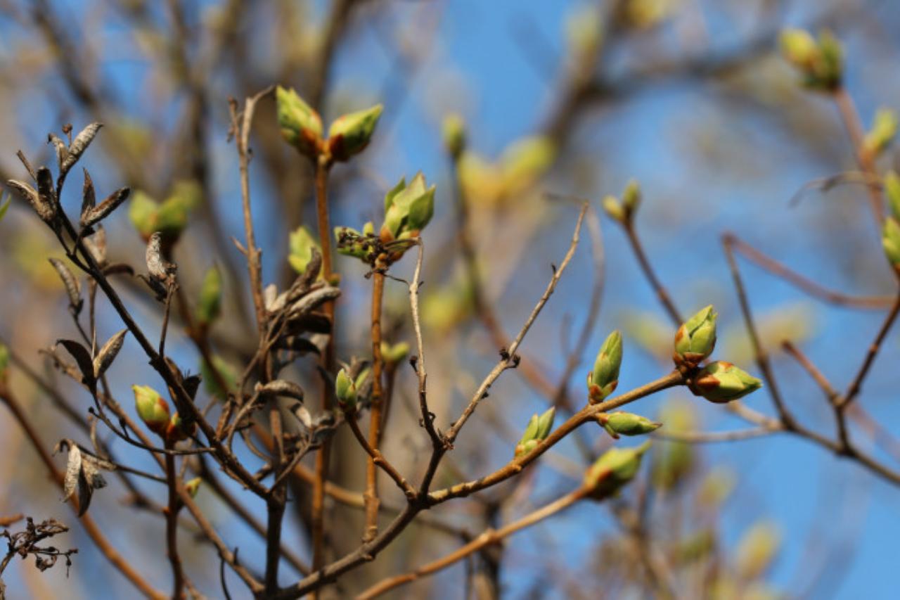 какая погода ожидается в центральной азии в четверг, 20 марта 2025