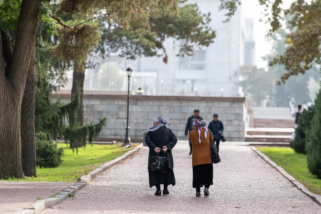 комфортное похолодание в узбекистане, без осадков в кыргызстане: погода в среду, 4 сентября 2024