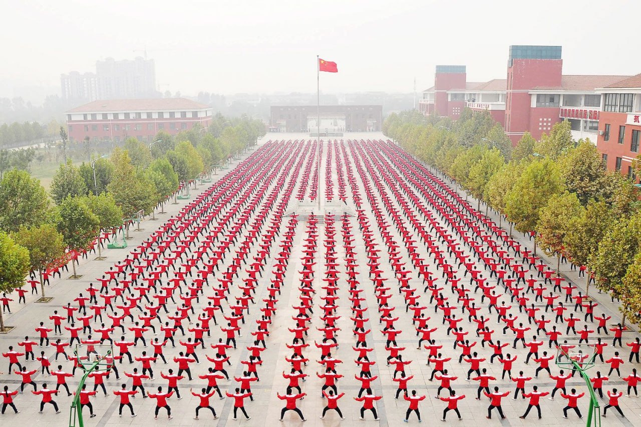 Почему китайские диаспоры в разных странах мира не смогут продвигать интересы Пекина