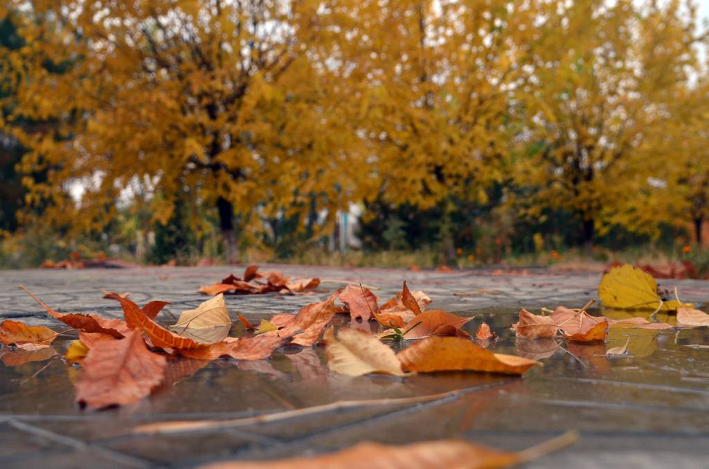 морозы до минус 6 в узбекистане, дожди и снег в кыргызстане: погода во вторник, 29 октября 2024