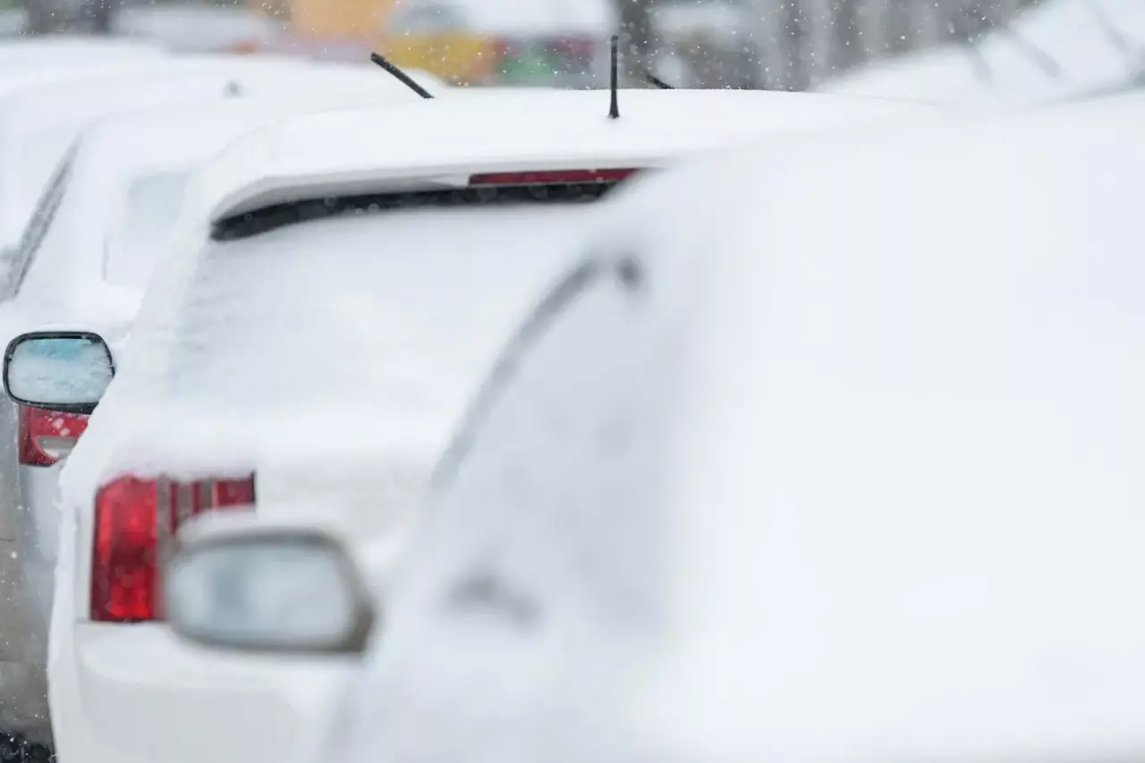 какой будет погода в странах центральной азии в четверг, 30 января 2025