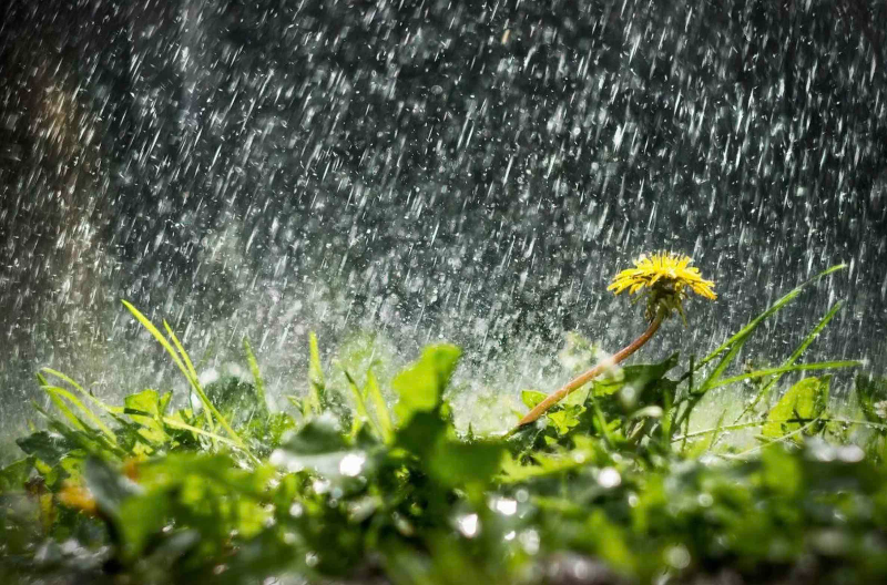 дожди заливают казахстан: погода в понедельник, 20 мая 2024