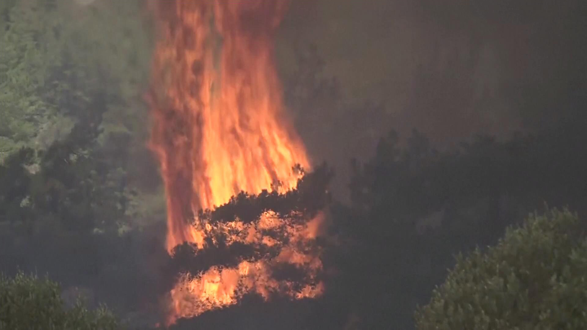 на востоке казахстана ликвидировали крупный лесной пожар