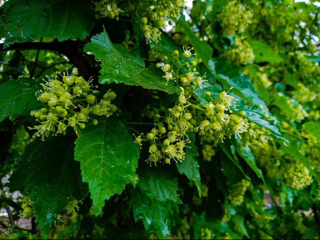 прохлада и дожди придут в казахстан: погода в субботу и воскресенье, 27 и 28 июля 2024