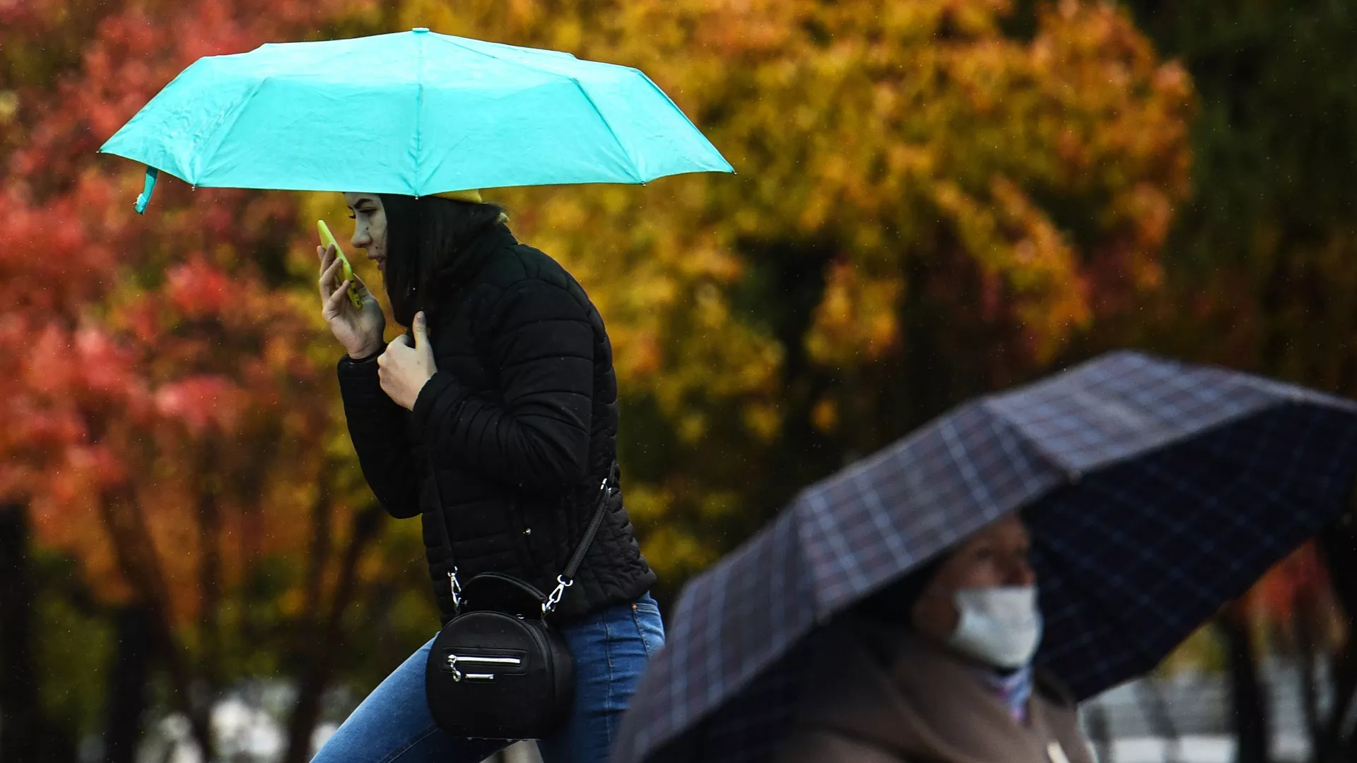 похолодание в узбекистане, дожди и снег в кыргызстане: погода во вторник, 5 ноября 2024
