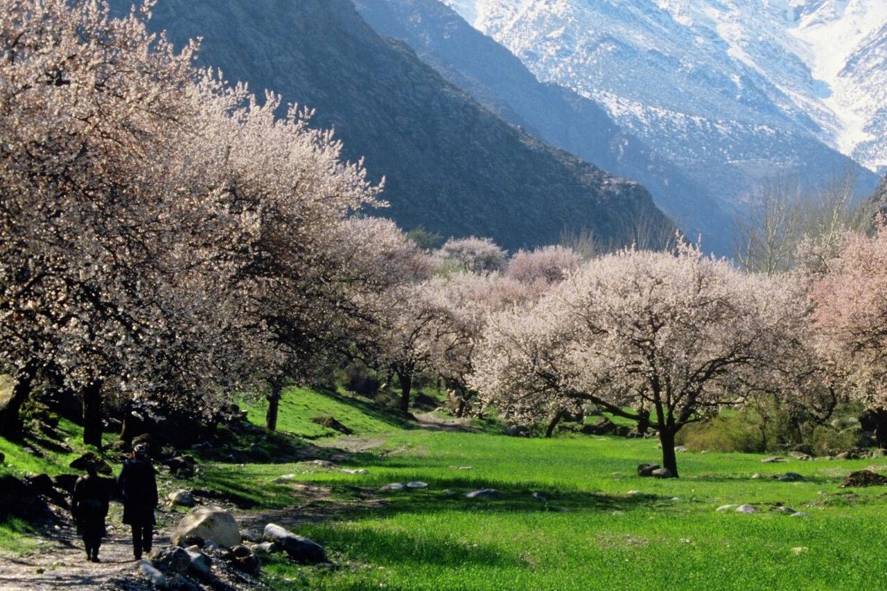 какая погода ожидается в центральной азии на предстоящей неделе, с 21 по 27 апреля 2025