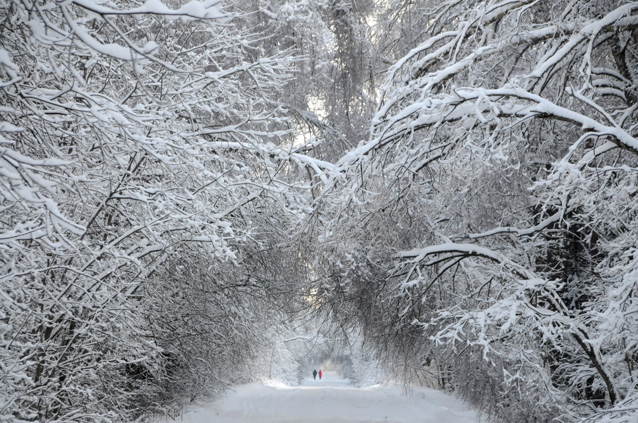 стало известно, на какие регионы казахстана обрушится снегопад сегодня, 29 декабря