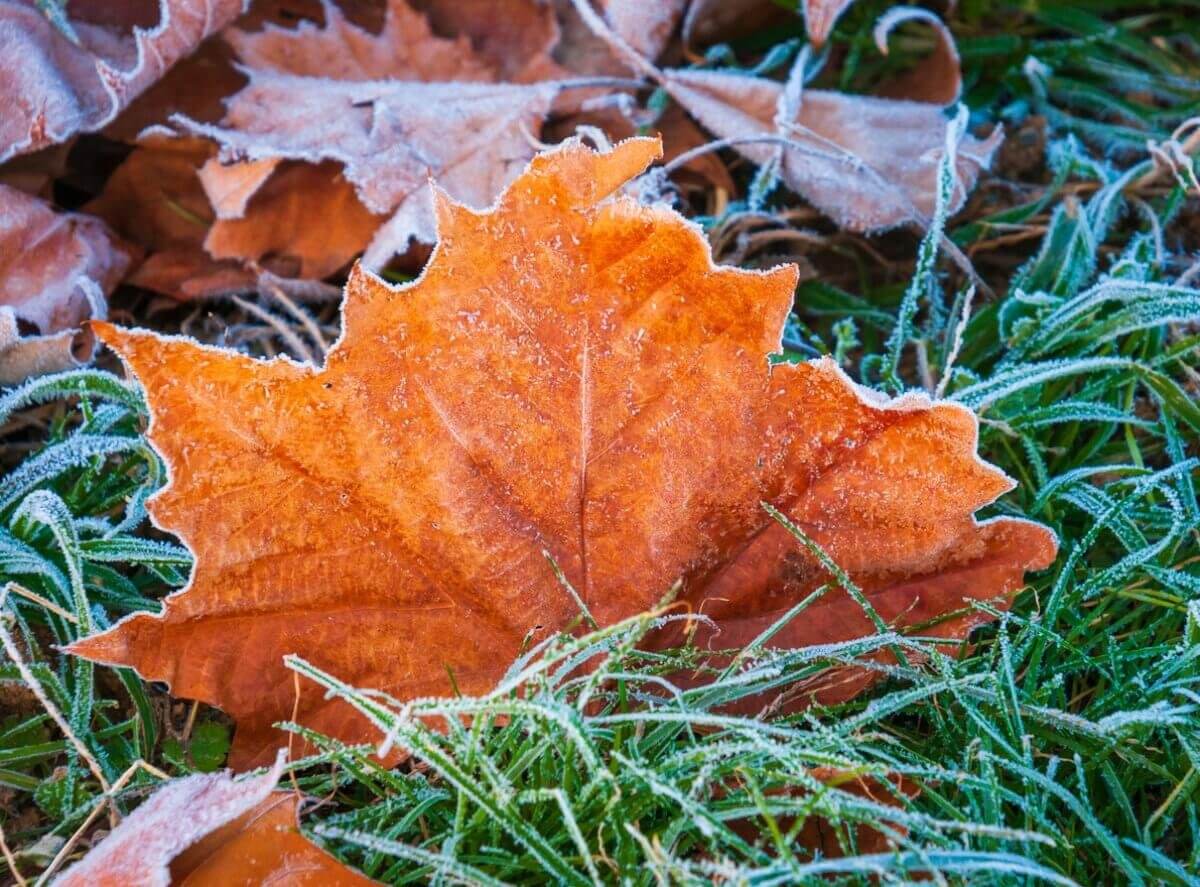 похолодание и дожди придут в казахстан: погода в субботу и воскресенье, 21 и 22 сентября 2024
