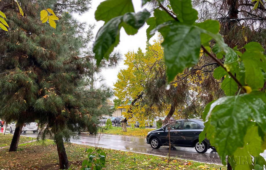 дожди и похолодание в узбекистане, снег и туман в кыргызстане: погода в среду, 13 ноября 2024