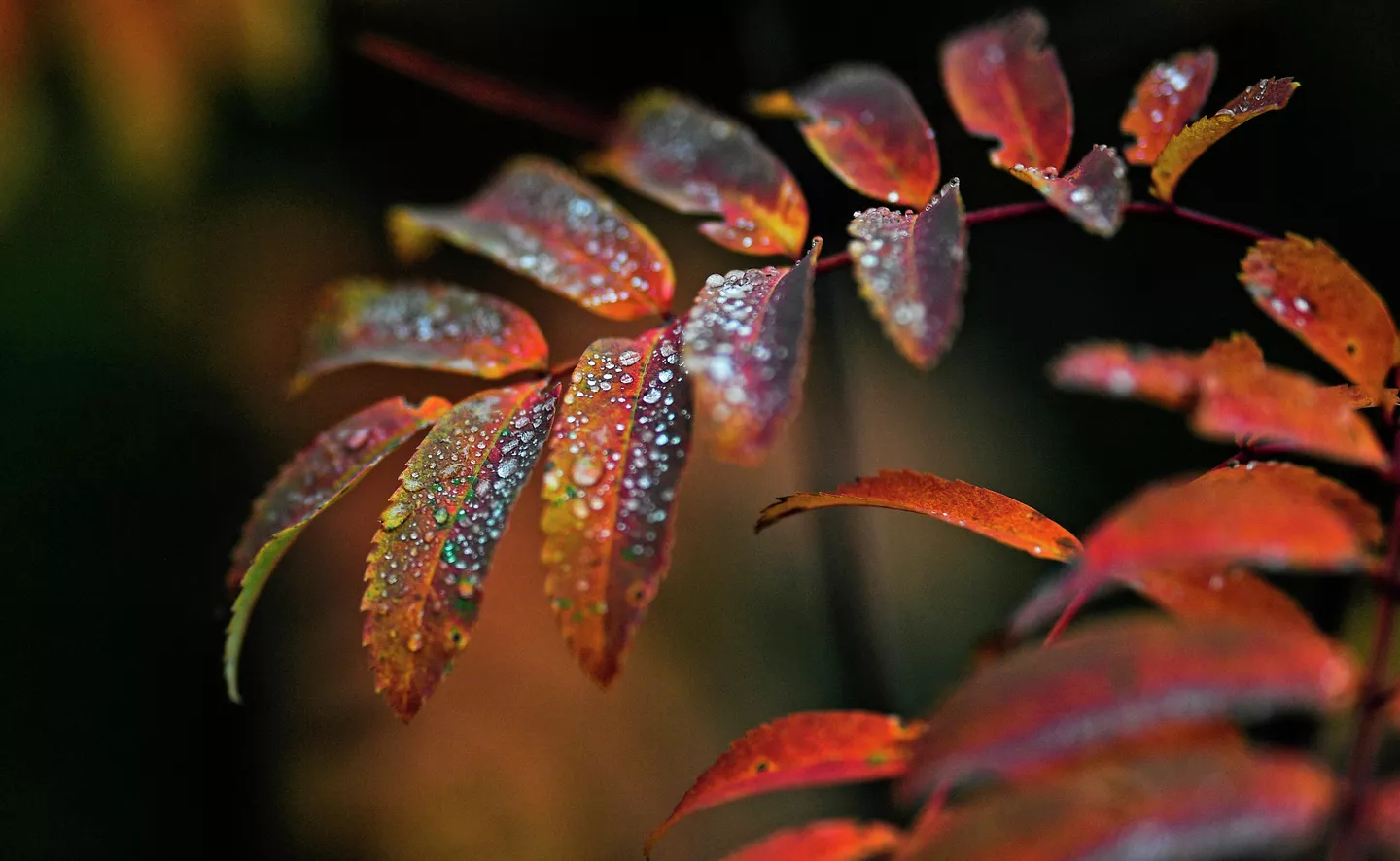 до +32 в узбекистане, в кыргызстане местами дожди: погода в среду, 11 сентября 2024