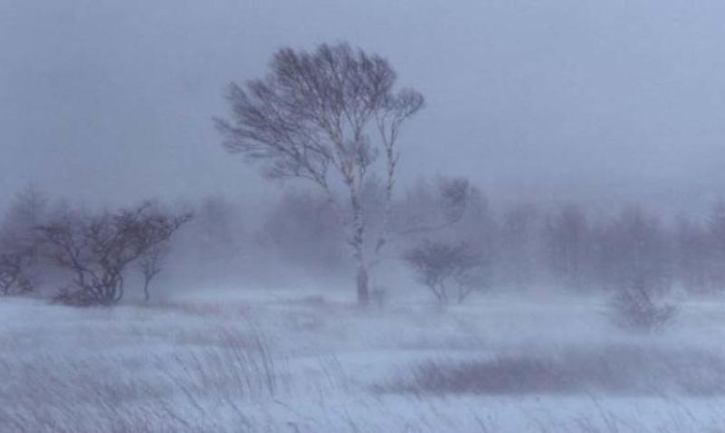 в 16 областях казахстана объявлено штормовое предупреждение 