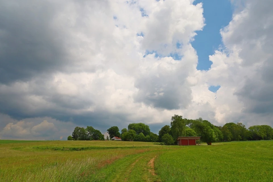 сильные дожди пройдут в казахстане: погода в пятницу, 14 июня 2024