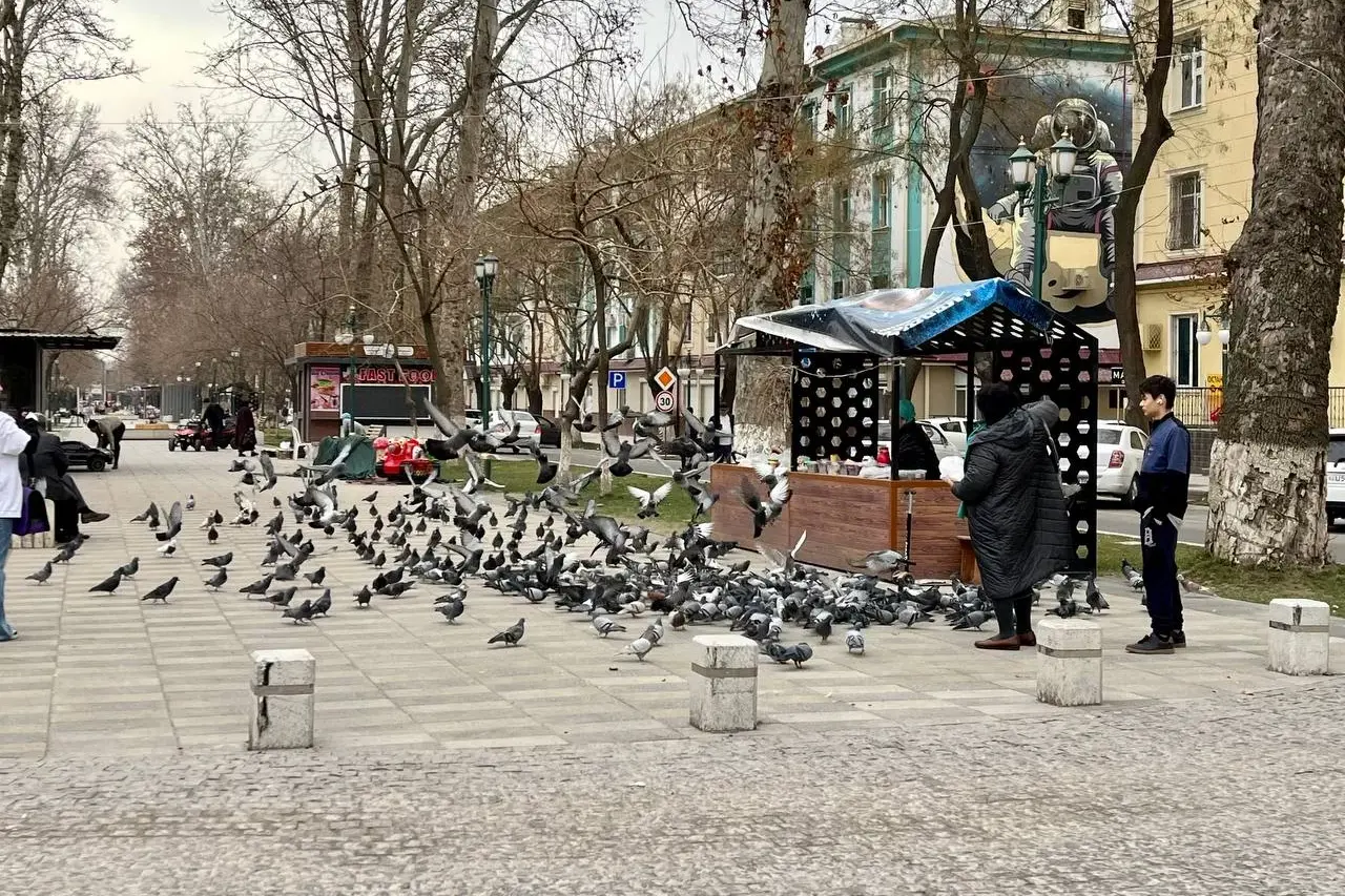 тепло уже на подходе: какая погода ожидается в центральной азии на предстоящей неделе, с 3 по 9 февраля 2025