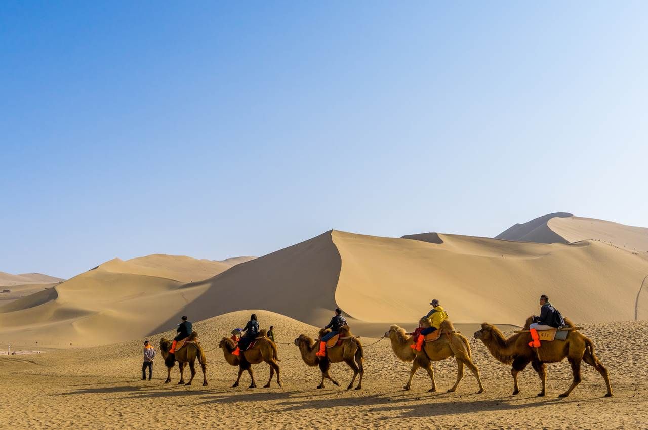 караван верблюдов в казахстане установил рекорд гиннесса