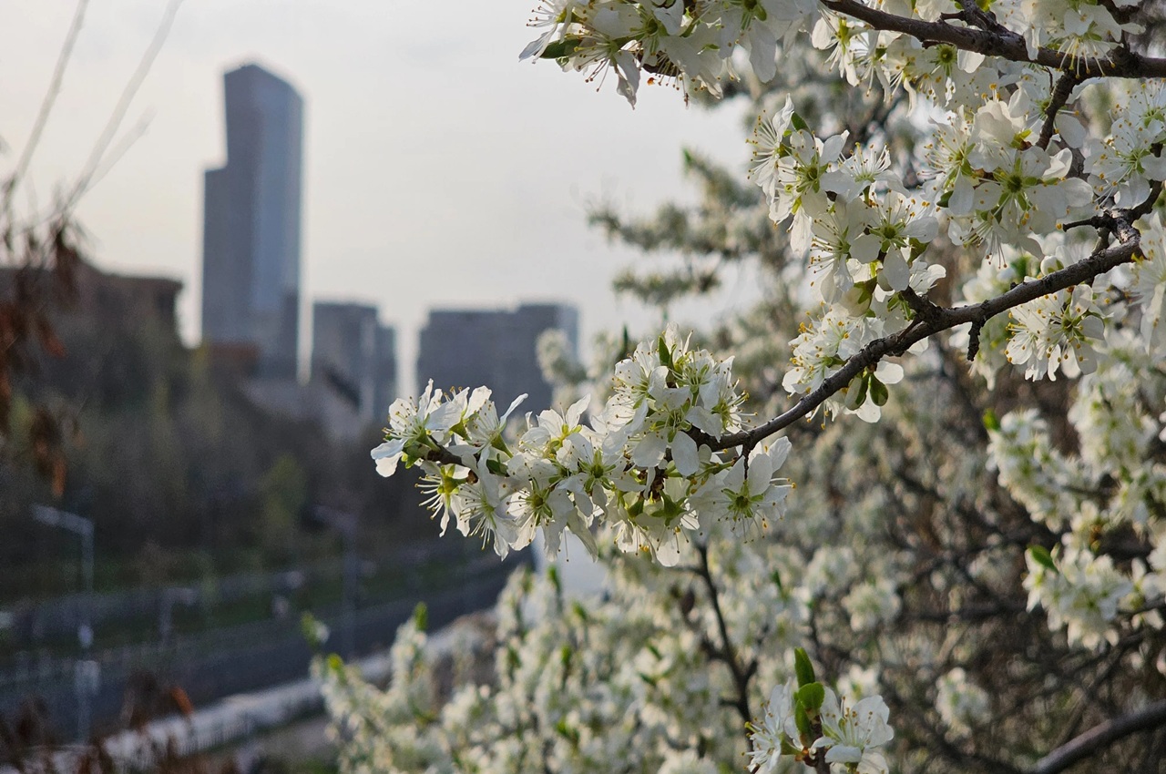 какая погода ожидается в центральной азии в предстоящие субботу и воскресенье, 4 и 5 апреля 2026 года