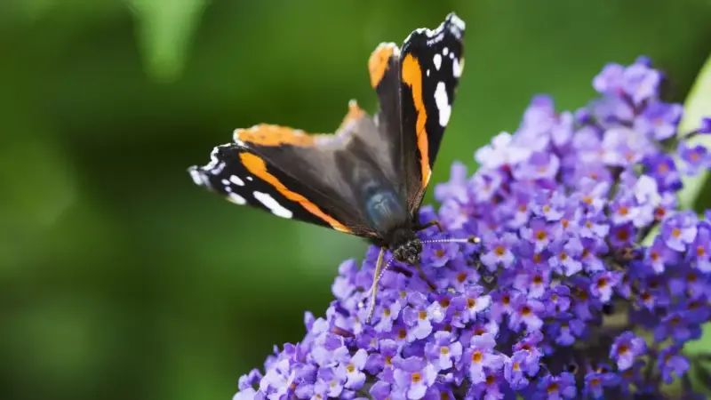 дожди с грозами, град и туман ожидают казахстан: погода в пятницу, 17 мая 2024