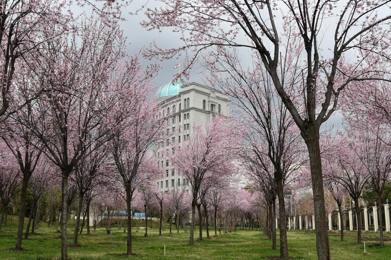 какая погода ожидается в центральной азии в четверг, 10 апреля 2025