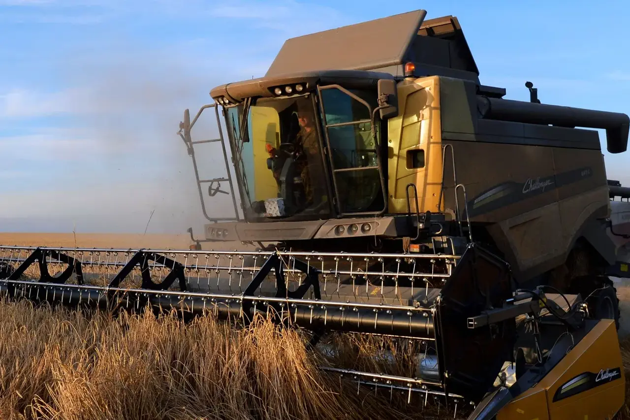 правительство казахстана выделит 116,7 млрд тенге на поддержку аграриев