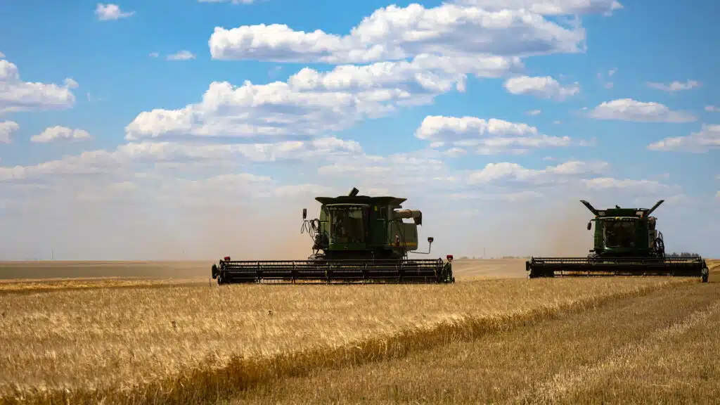 минсельхоз: казахстан ищет новые рынки сбыта зерна
