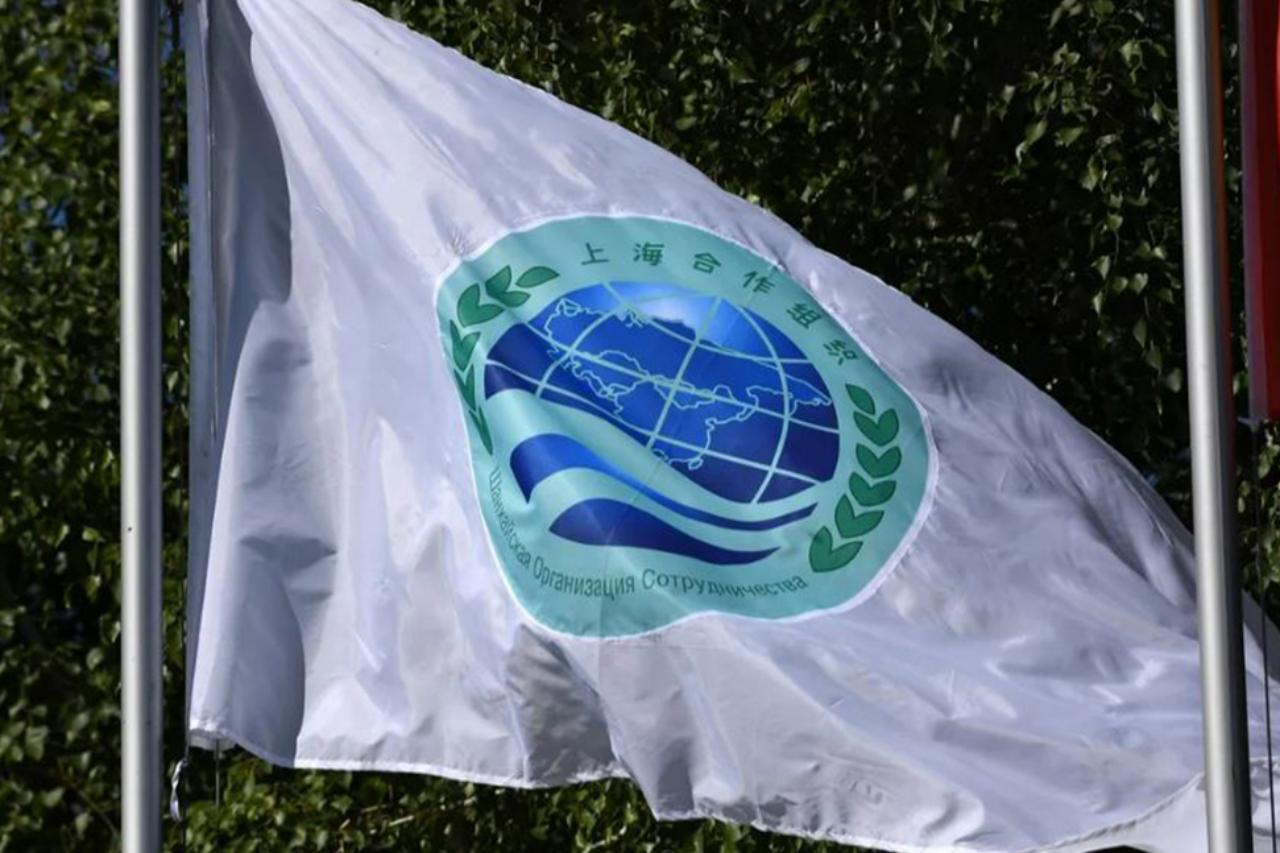 страны шос изучают возможности либерализации визового режима