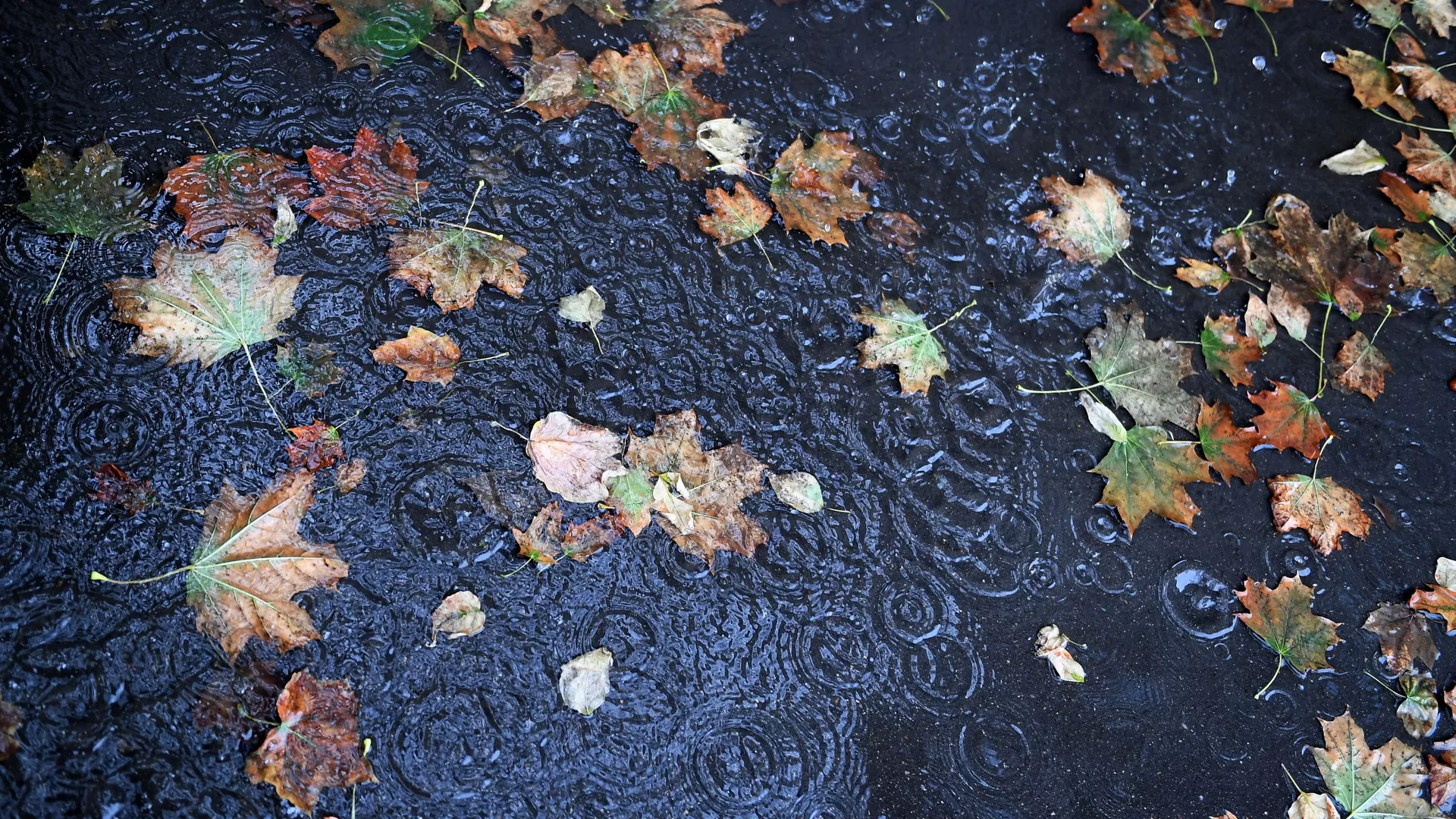 в долинах будет тепло и без осадков, в горах ожидаются дожди и снег: погода в кыргызстане и узбекистане в понедельник, 23 сентября 2024