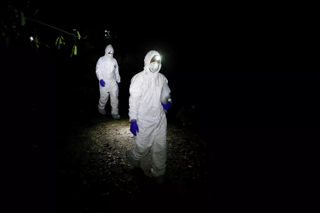 за пределами индии зафиксирован первый летальный случай заражения вирусом нипах