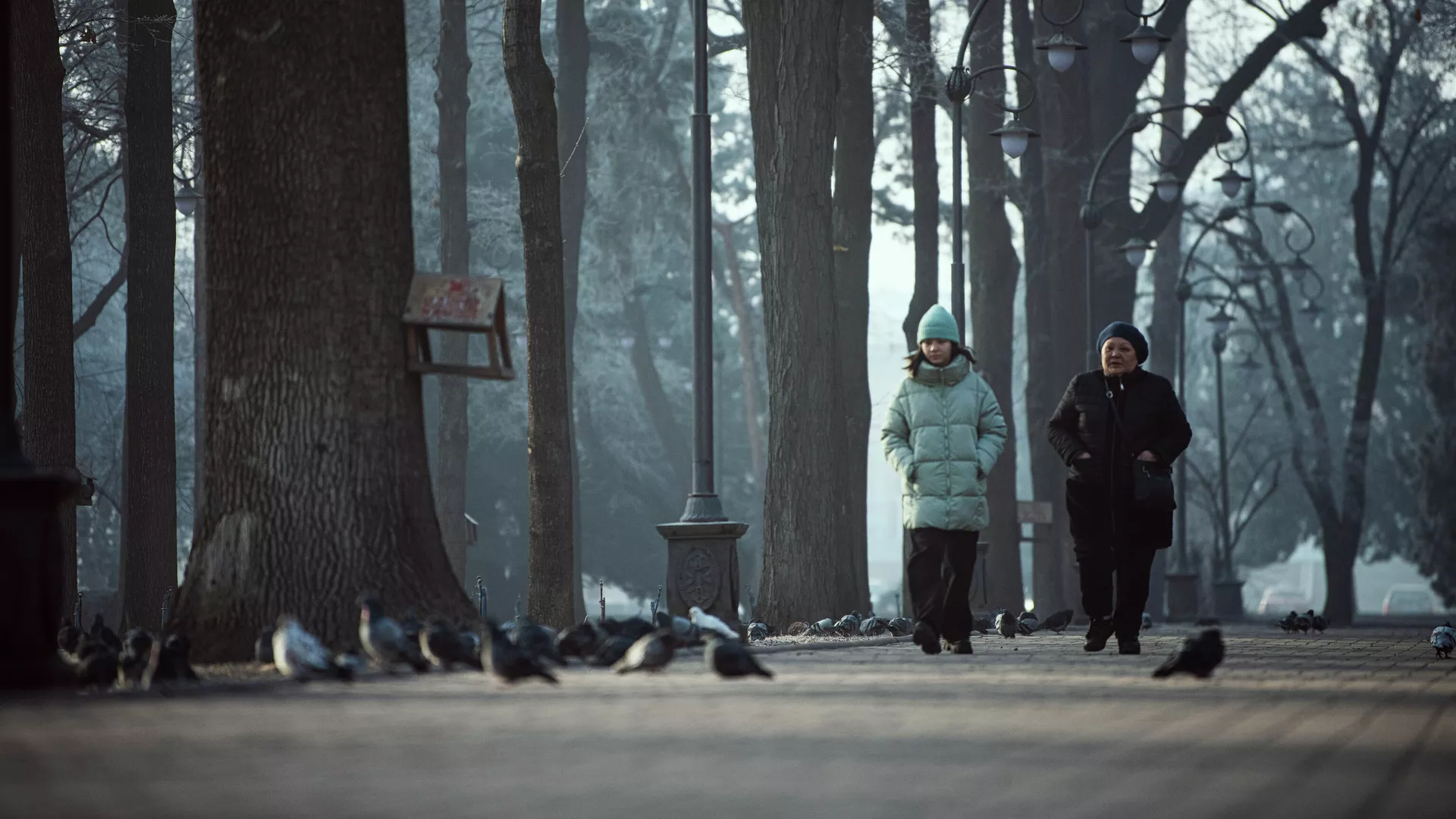 какой будет погода в центральной азии в пятницу, 6 декабря 2024