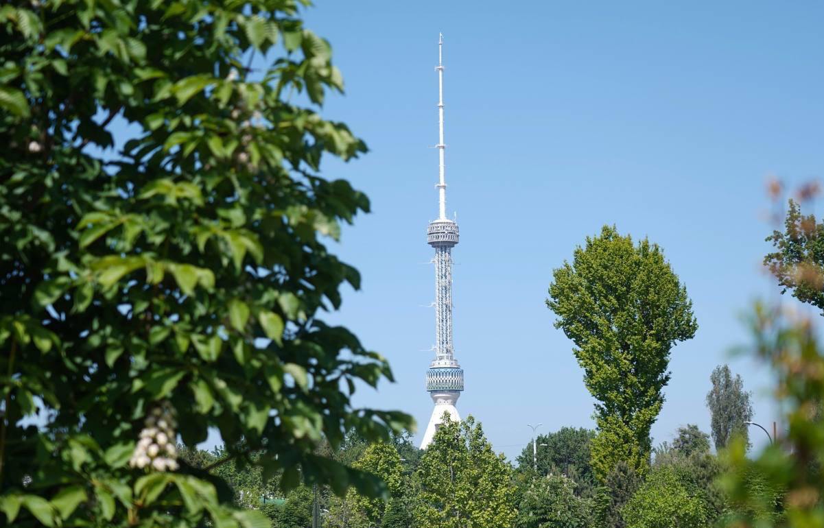 жара в узбекистане, дожди и грозы в кыргызстане: погода во вторник, 23 июля 2024