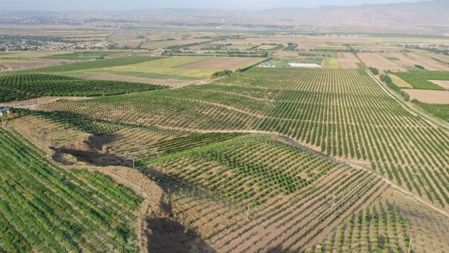 кыргызстан выделит 3,5 млрд сомов на восстановление заброшенных пастбищ