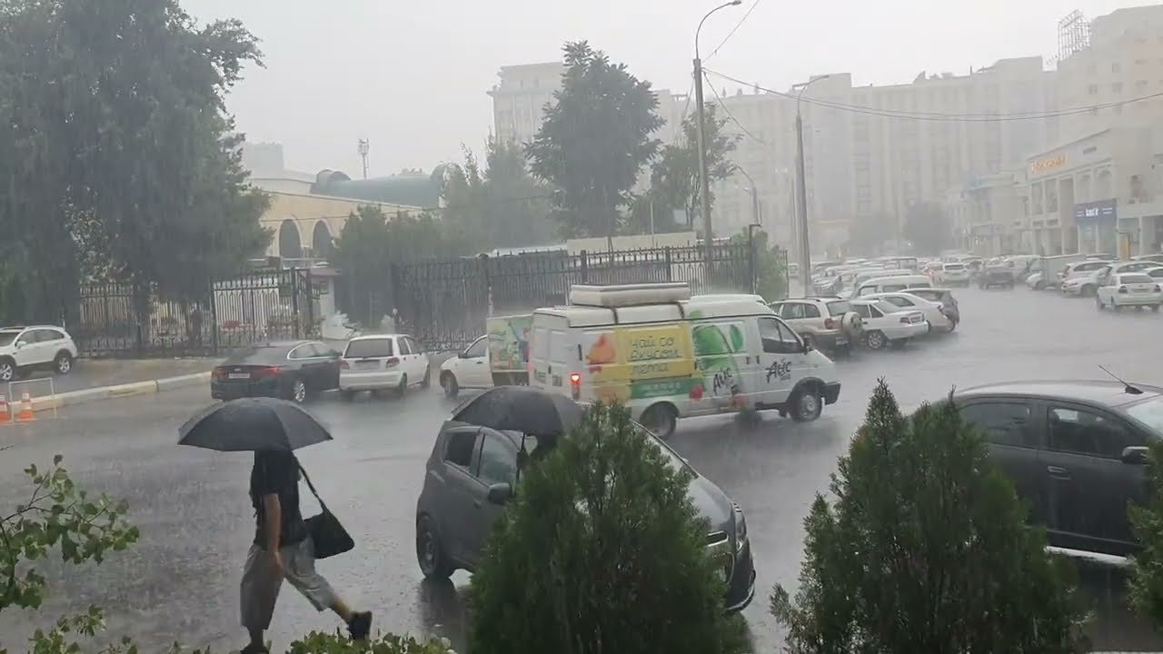 ухудшение погодных условий ожидается в странах центральной азии: погода в в пятницу, 24 мая 2024