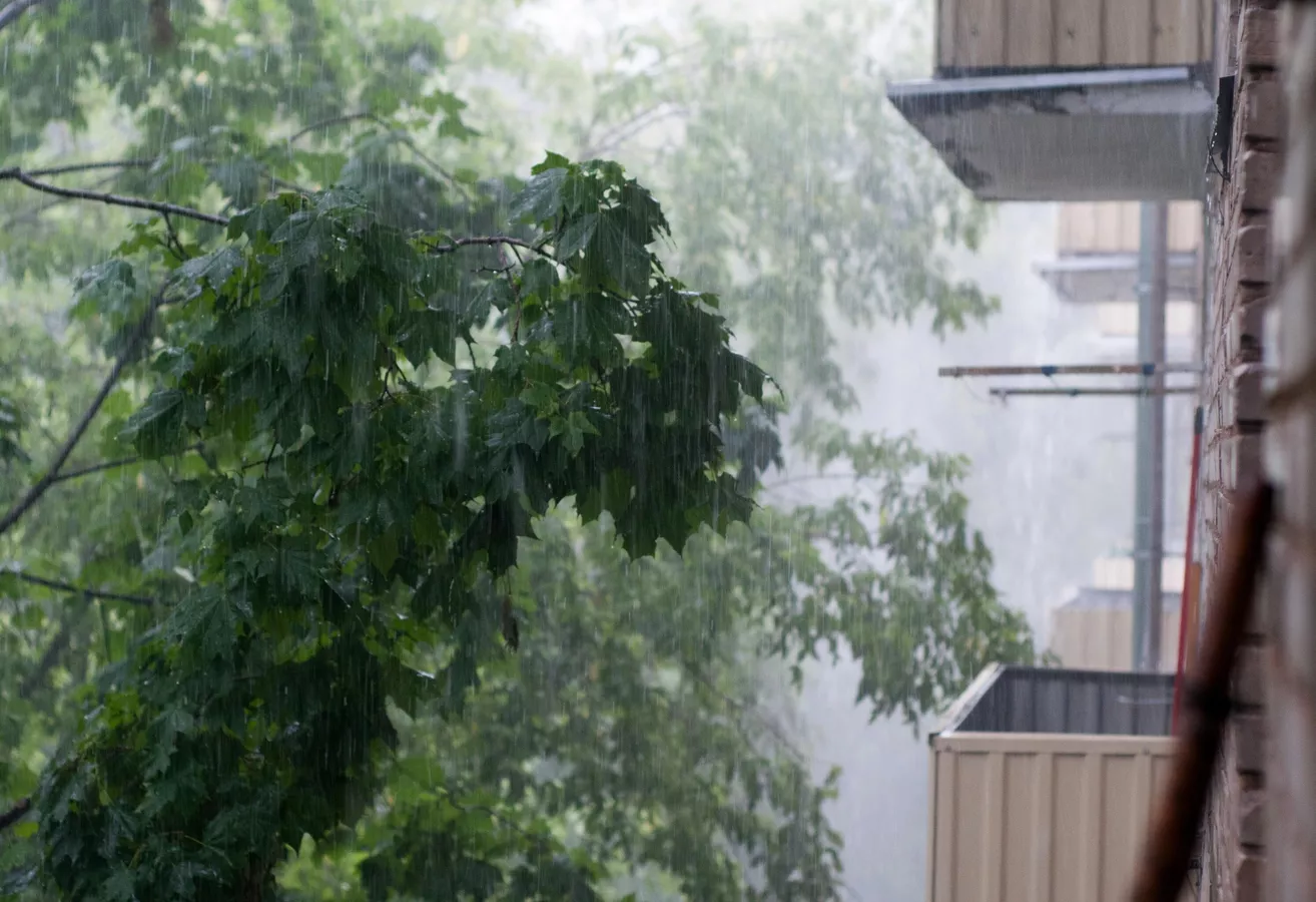 температура повысится в узбекистане, а в кыргызстане пройдут кратковременные дожди: погода в среду, 24 июля 2024