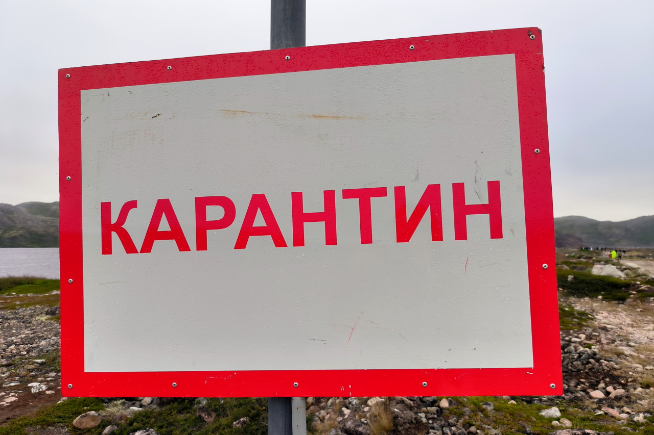 в двух селах казахстана объявили карантин из-за сибирской язвы