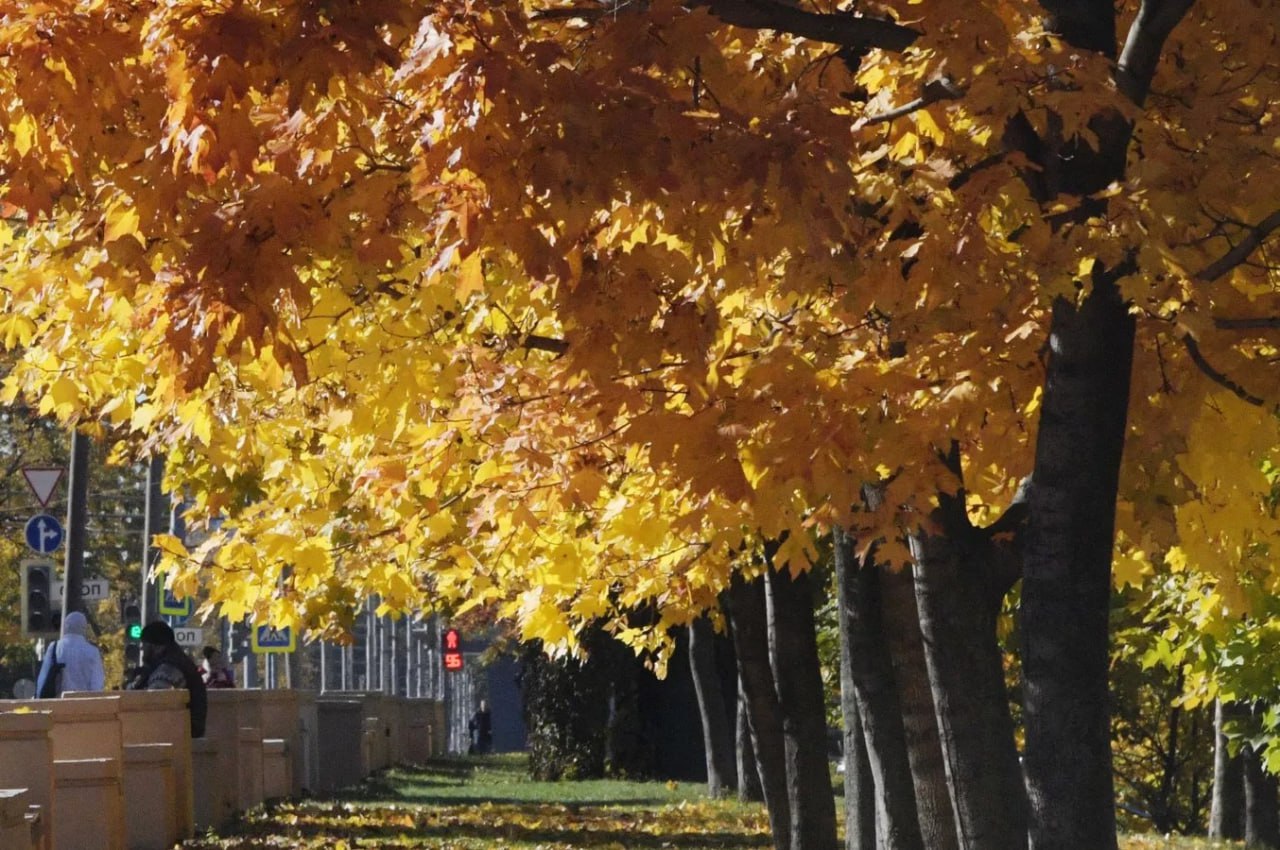 какая погода ожидается в центральной азии на предстоящей неделе с 25 по 31 августа 2025 года