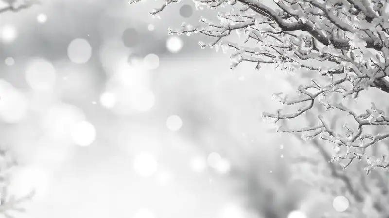 сильные морозы до минус 38 градусов пришли в казахстан: погода на 15 февраля 2024 года