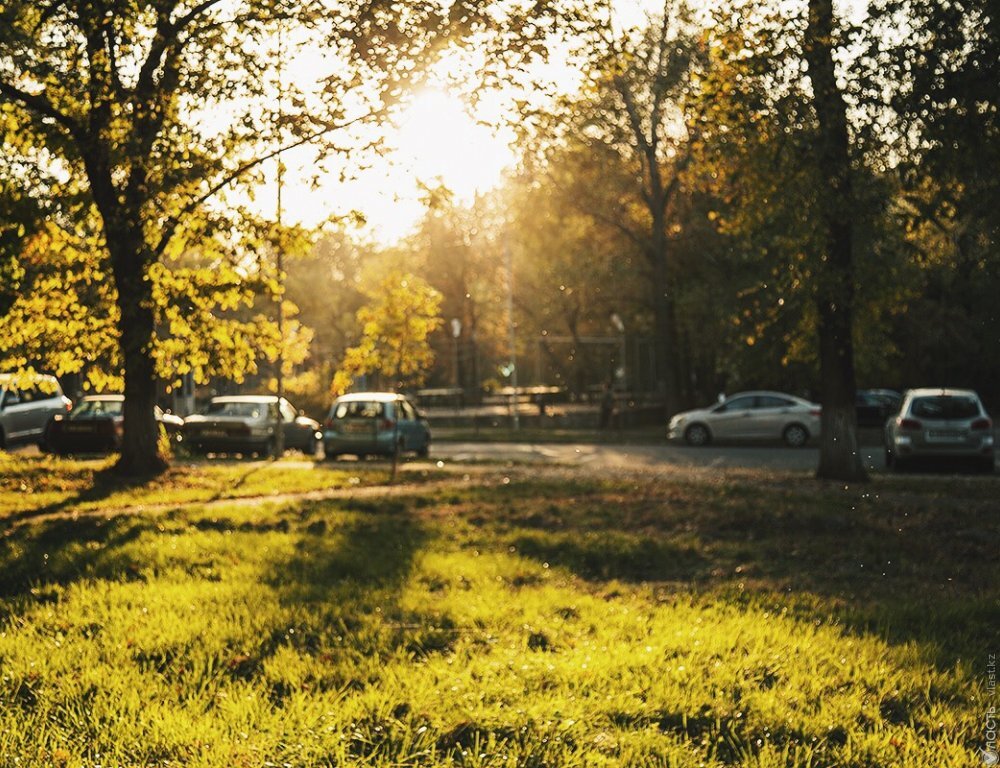 жара до 43 градусов в тени и дожди с грозами: погода в казахстане в четверг, 6 июня 2024