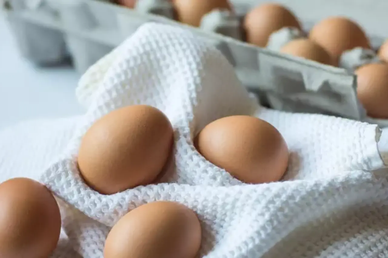 В Казахстане хотят запретить импортные яйца