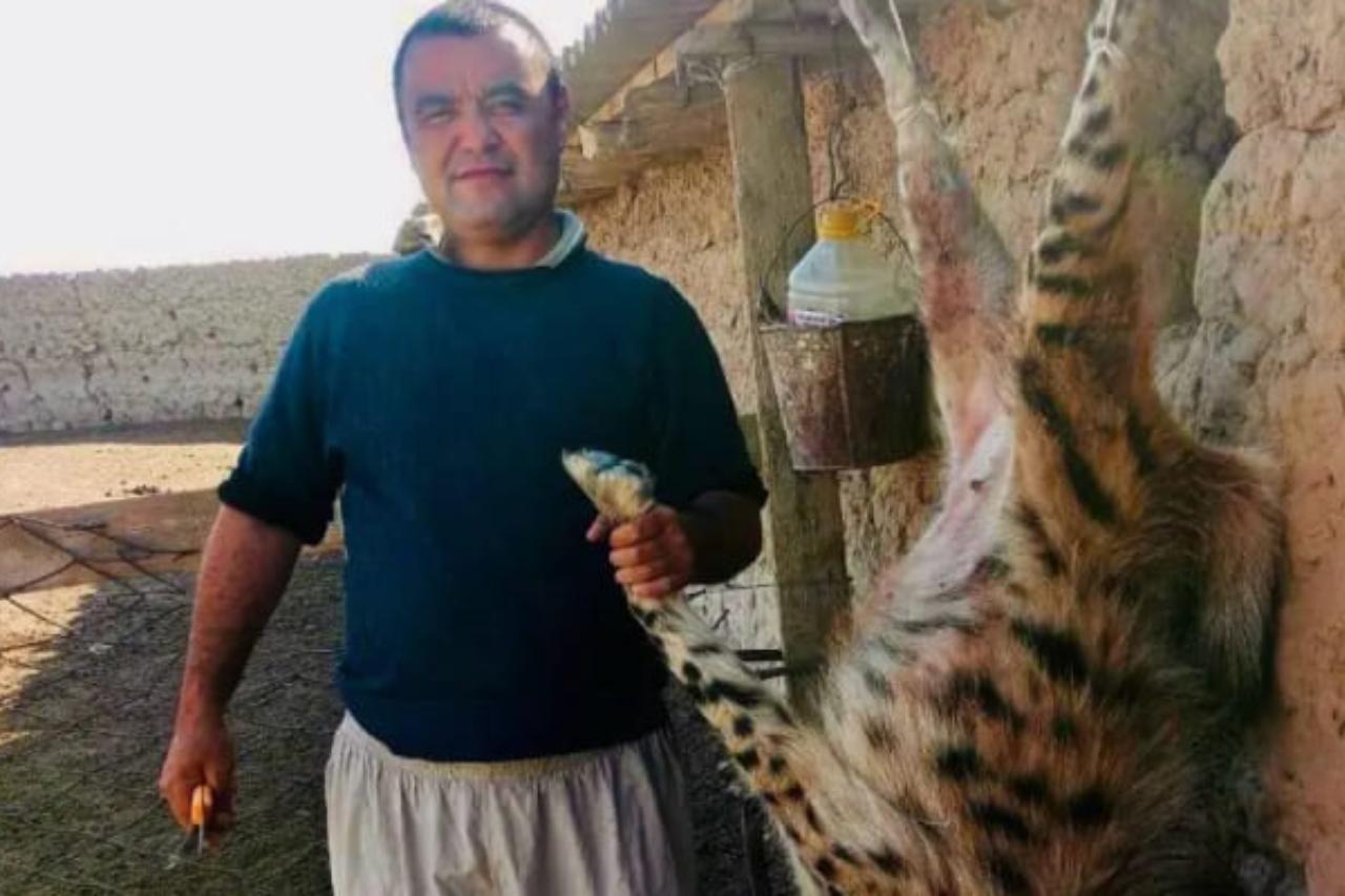 в сурхандарьинской области узбекистана нашли убийцу редкой гиены