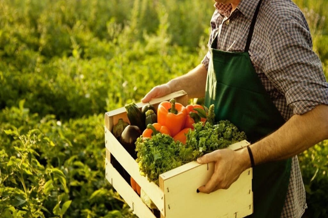 таджикистан увеличил экспорт сельхозпродукции на 40%