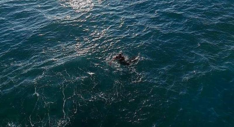 в казахстане утвердили создание нии каспийского моря