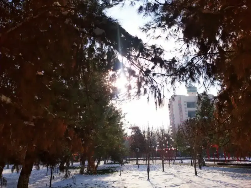 лавинная опасность в узбекистане и снег в кыргызстане: погода в странах центральной азии в пятницу, 15 марта 2024