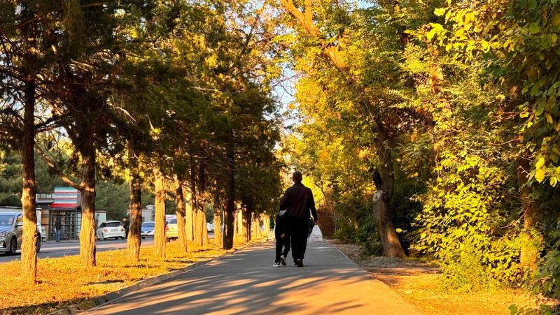 теплые и без осадков выходные ожидаются в кыргызстане: погода в субботу и воскресенье, 19 и 20 октября 2024