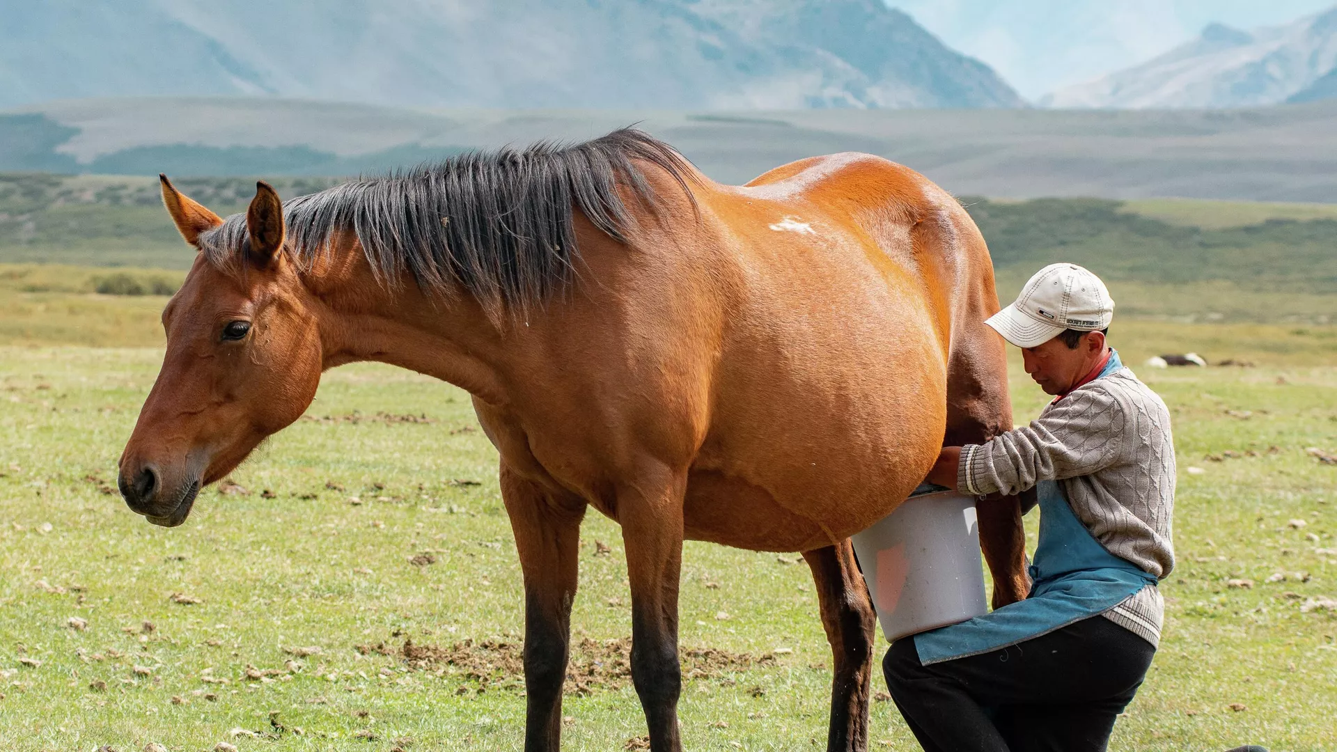 в узбекистане и кыргызстане без осадков: погода в понедельник, 26 августа 2024